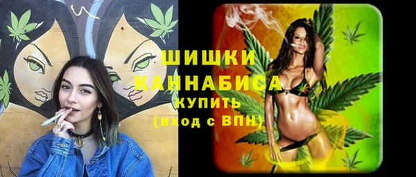 ПСИЛОЦИБИНОВЫЕ ГРИБЫ Алзамай