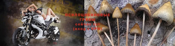 дживик Алексин