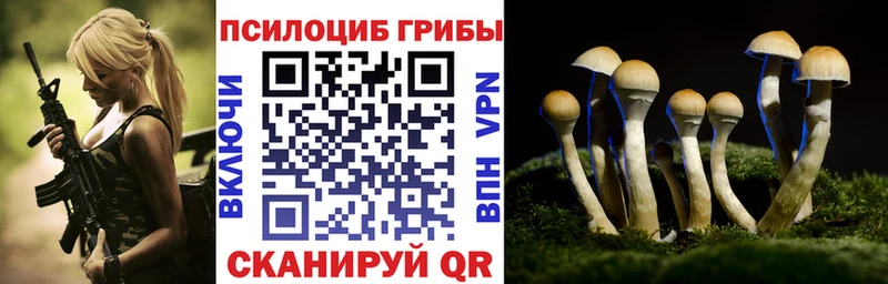 blacksprut как войти  наркота  Кызыл  Псилоцибиновые грибы мицелий 